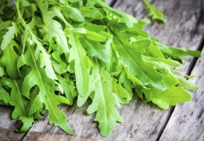 La Chimica della Rucola