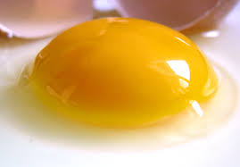La Chimica dell’Uovo